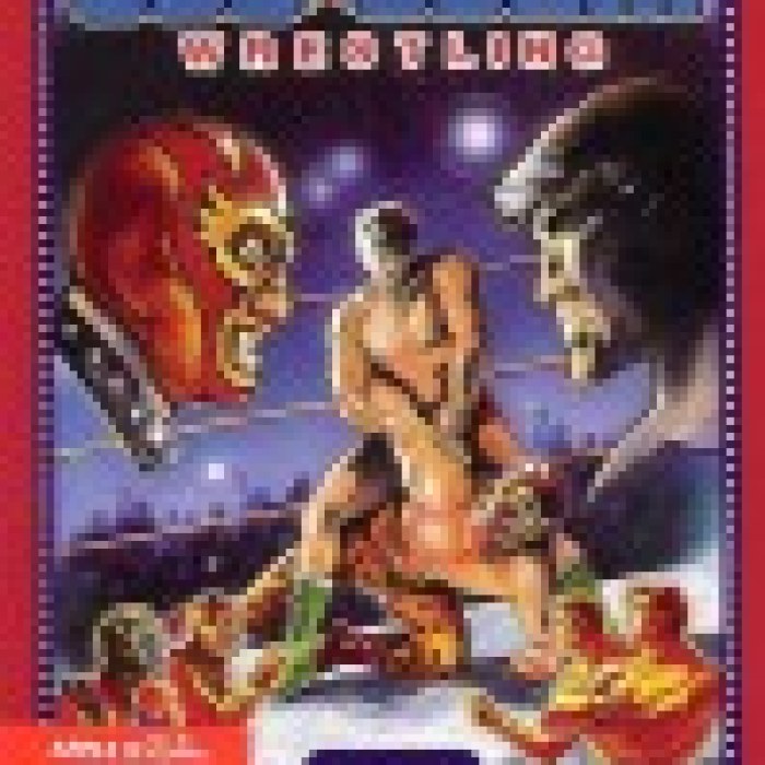 Tag Team Wrestling