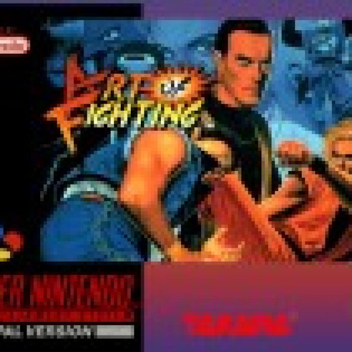 Art of Fighting