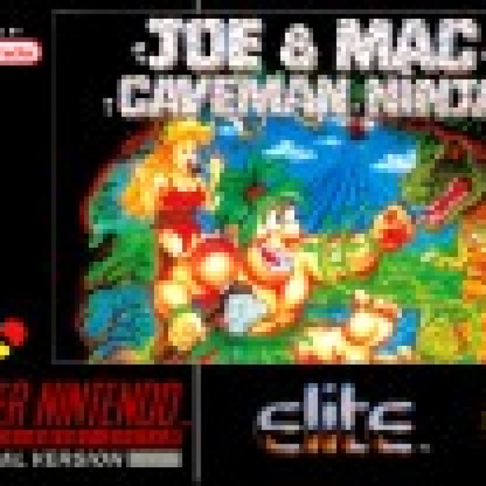Joe & Mac: Caveman Ninja