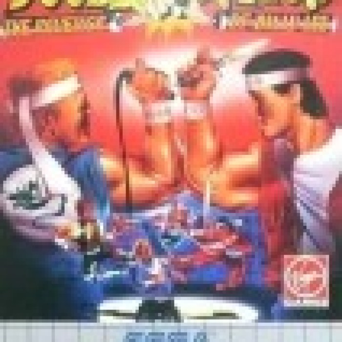 Double Dragon: The Revenge of Billy Lee