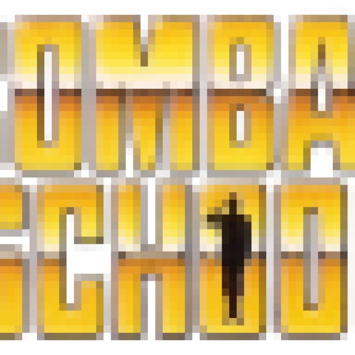 Combat School
