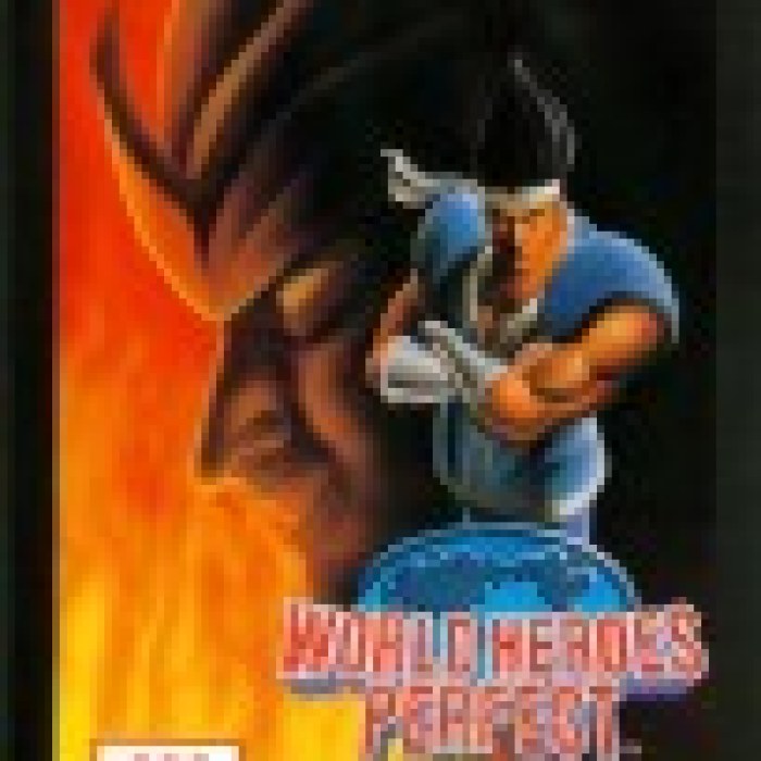 World Heroes Perfect