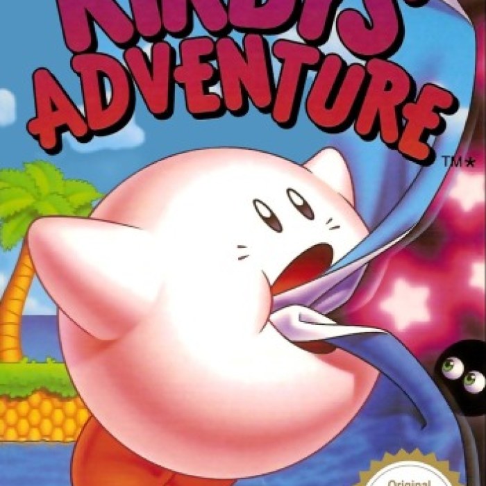 Kirby's Adventure