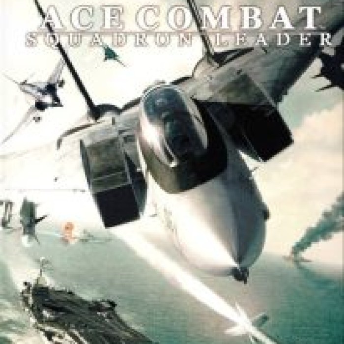 Ace Combat: Squadron Leader