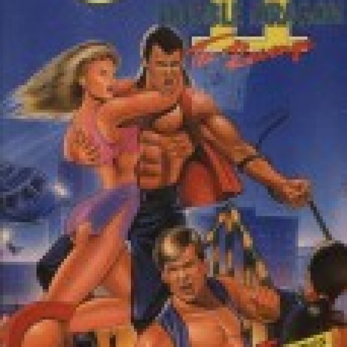 Double Dragon II: The Revenge