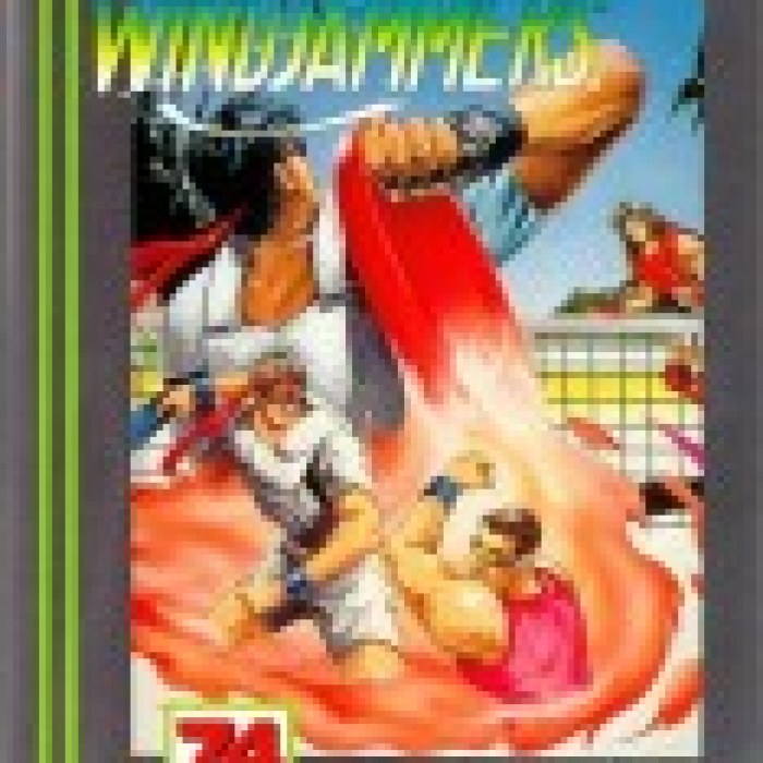 Windjammers