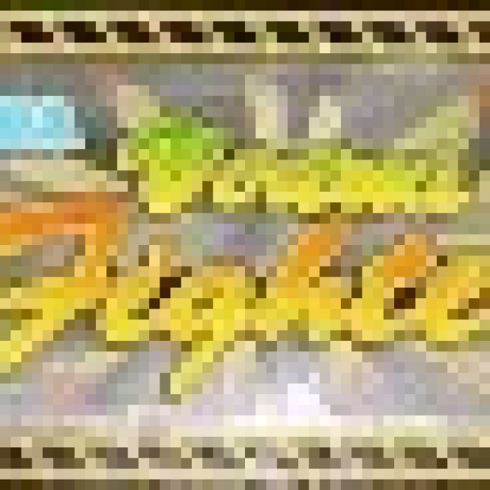 Virtua Fighter