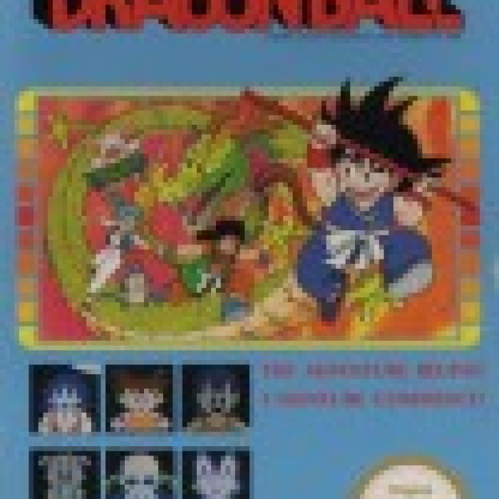 Dragon Ball: Le Secret du Dragon