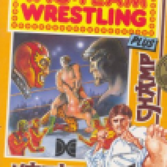 Tag Team Wrestling