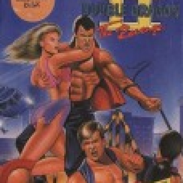 Double Dragon II: The Revenge