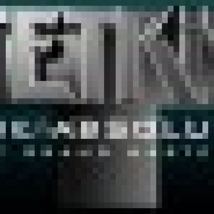 Tetris: the Grand Master 2 - The Absolute