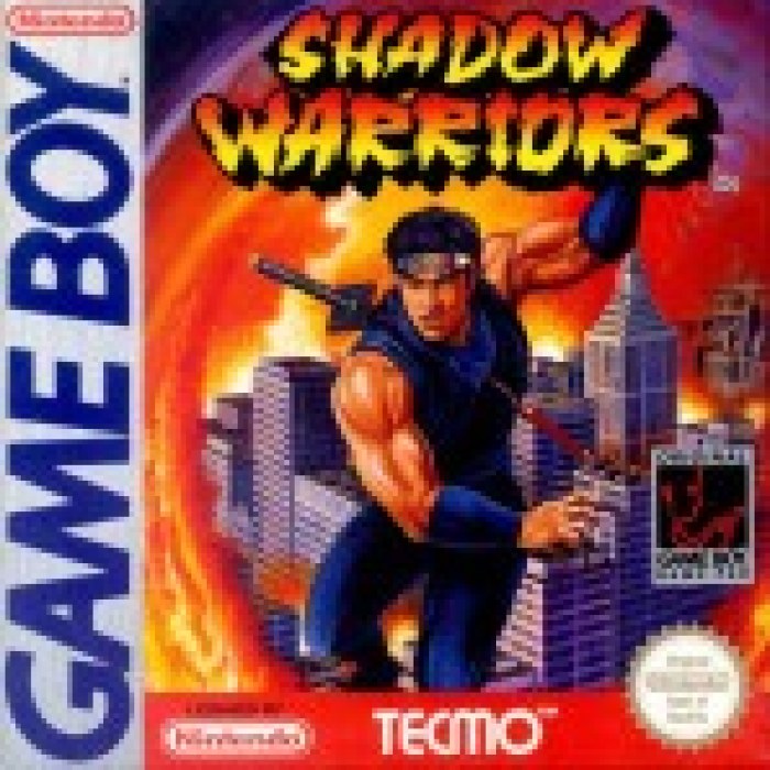 Shadow Warriors
