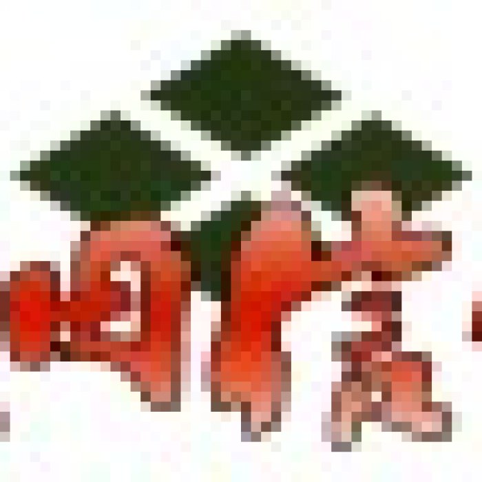 Shingen Samurai-Fighter