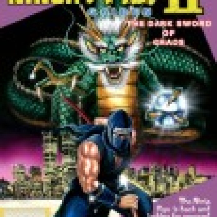 Shadow Warriors II: The Dark Sword of Chaos