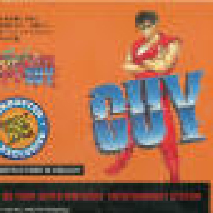 Final Fight Guy