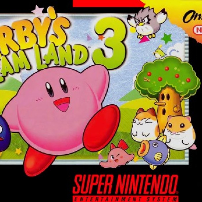 Kirby's Dream Land 3