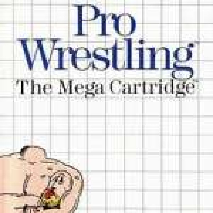 Pro Wrestling
