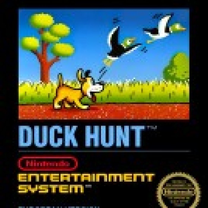 Duck Hunt