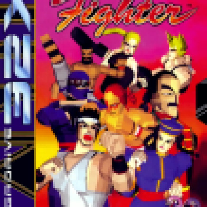 Virtua Fighter