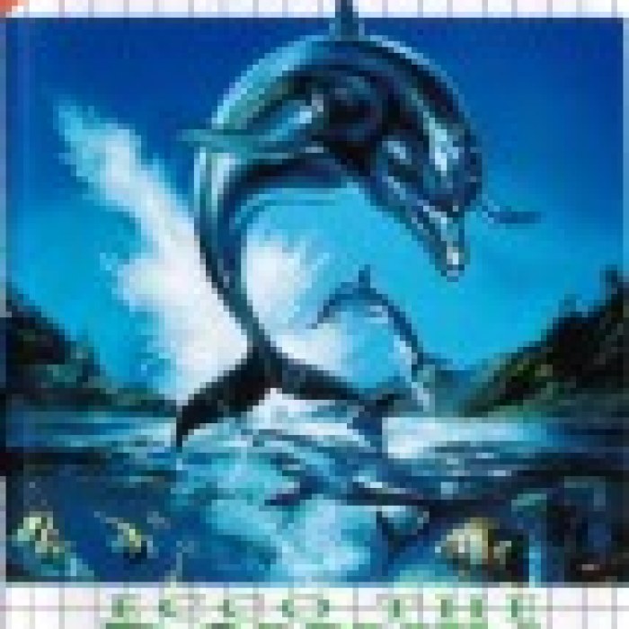 Ecco the Dolphin