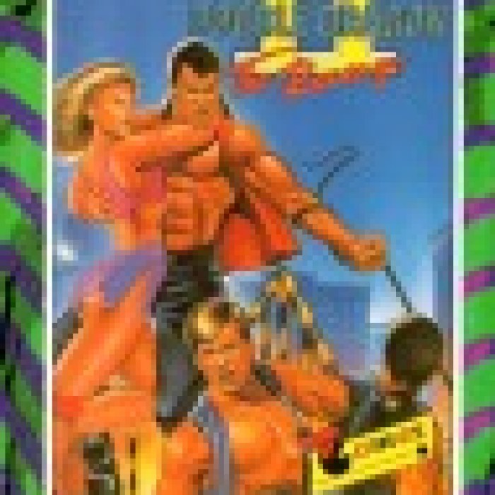 Double Dragon II: The Revenge