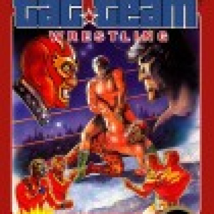 Tag Team Wrestling
