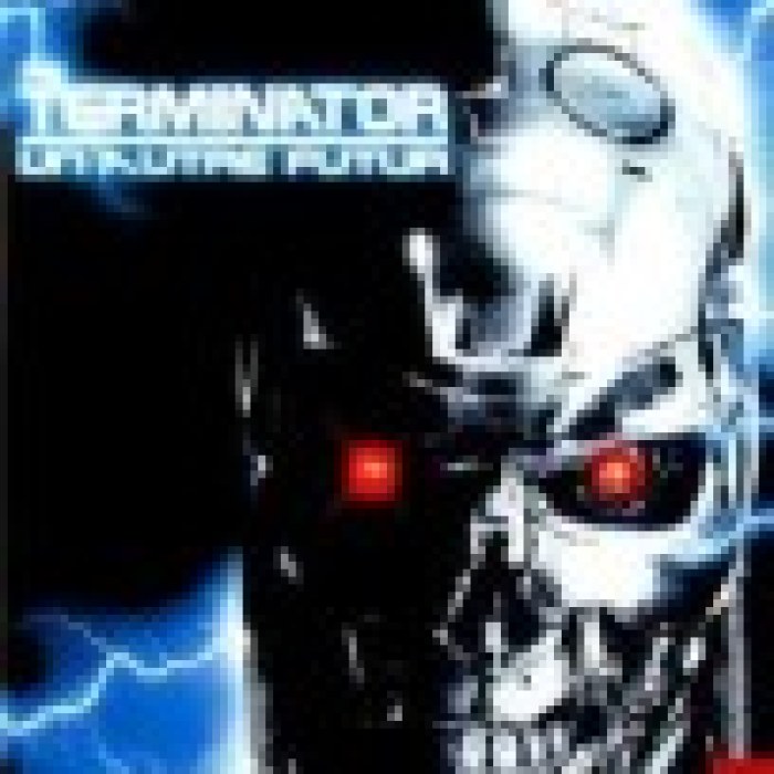 The Terminator: Un Autre Futur