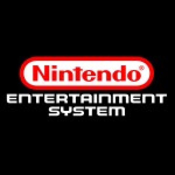 Nintendo Entertainment System