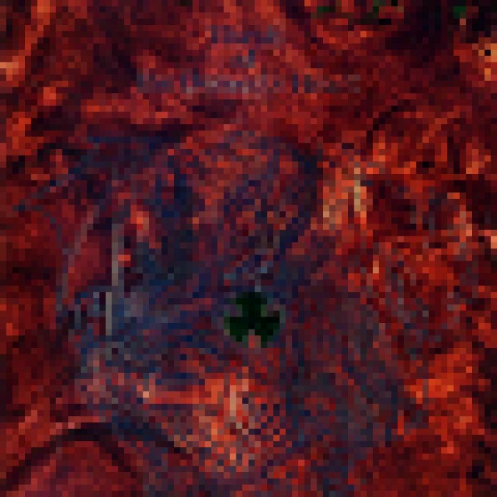 Wizardry: Throb of the Demon's Heart