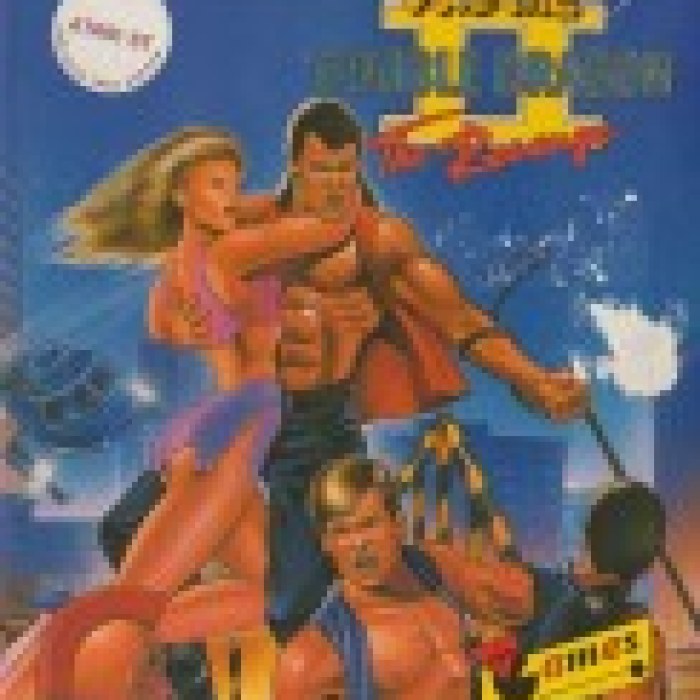 Double Dragon II: The Revenge