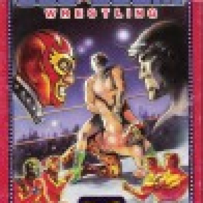 Tag Team Wrestling
