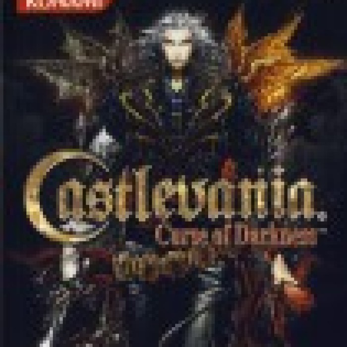 Castlevania: Curse of Darkness