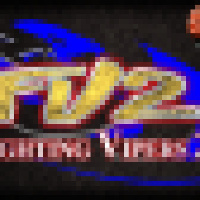 Fighting Vipers 2
