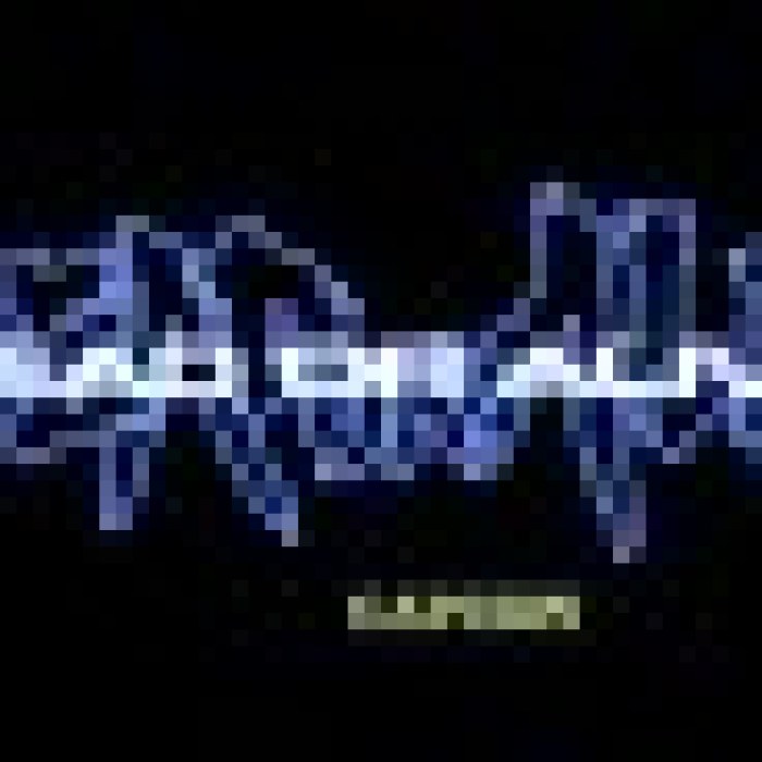 Dead or Alive 2