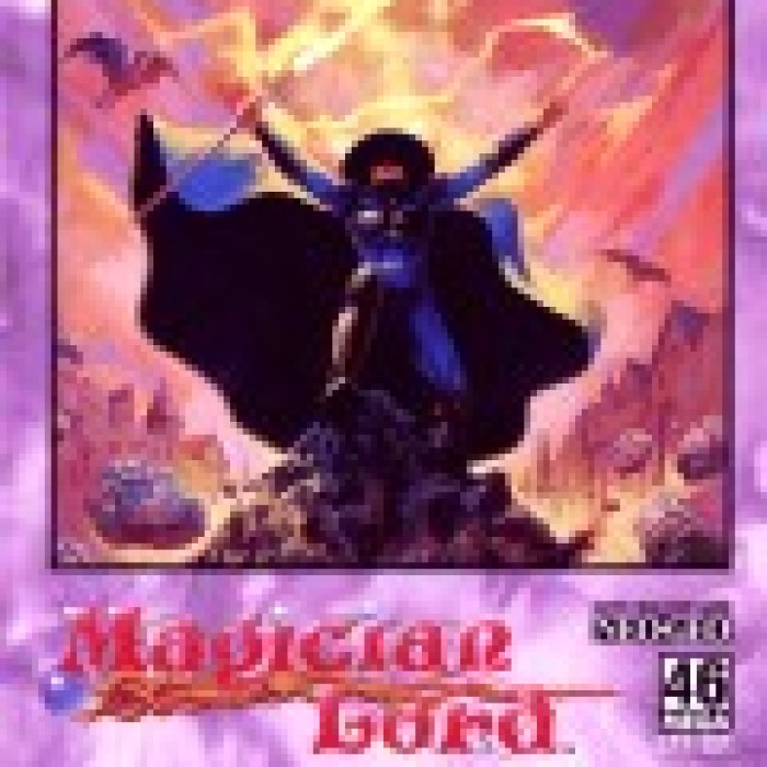 Magician Lord