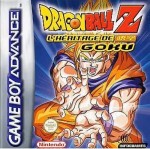 Dragon Ball Z: L'Héritage de Goku