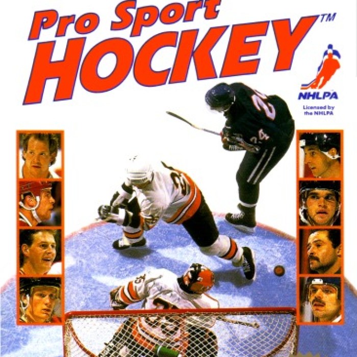 Pro Sports Hockey