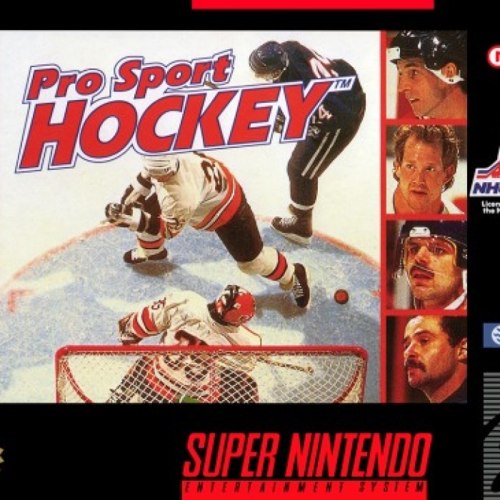 Pro Sports Hockey
