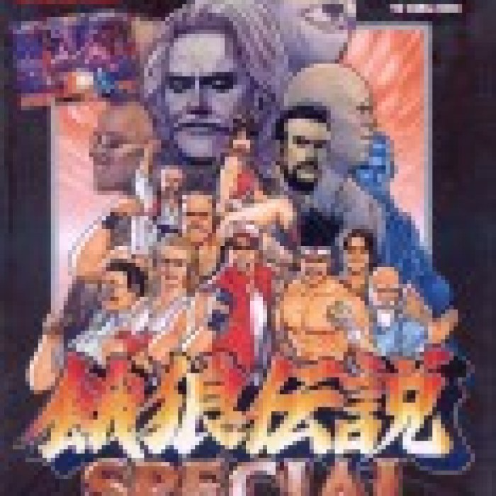 Fatal Fury Special