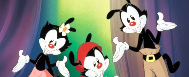 Illustration de l'article Animaniacs: on s'marre un max sur Mega Drive