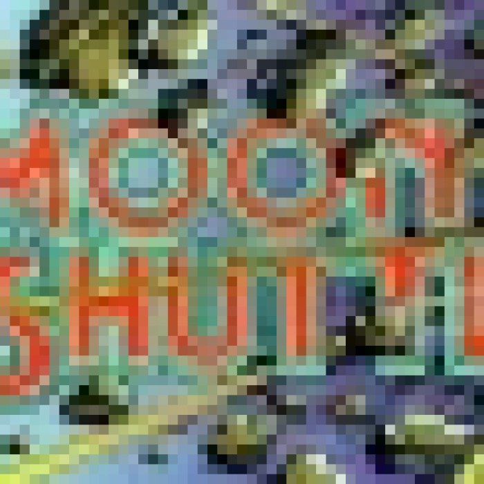 Moon Shuttle
