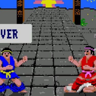 Illustration de l'article International Karate +: un coup de poing dans l'arcade