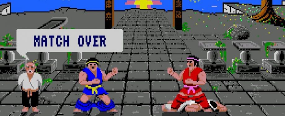 Illustration de l'article International Karate +: un coup de poing dans l'arcade