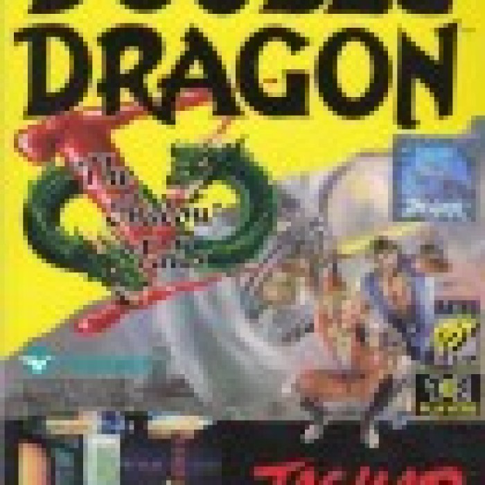Double Dragon V: The Shadow Falls