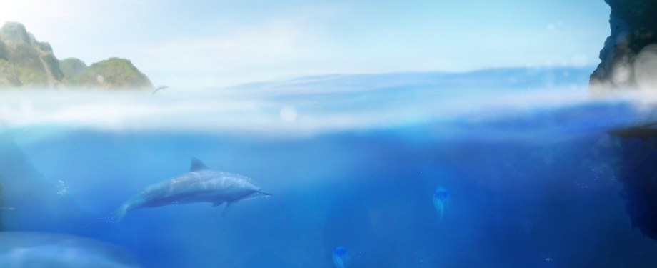 Ecco Jr.