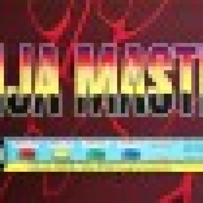 Ninja Master's