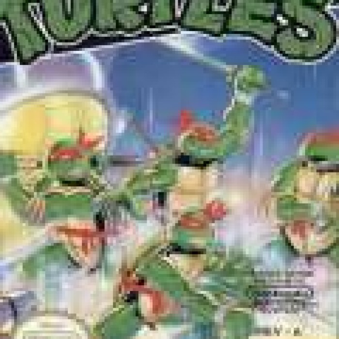 Les Tortues Ninja