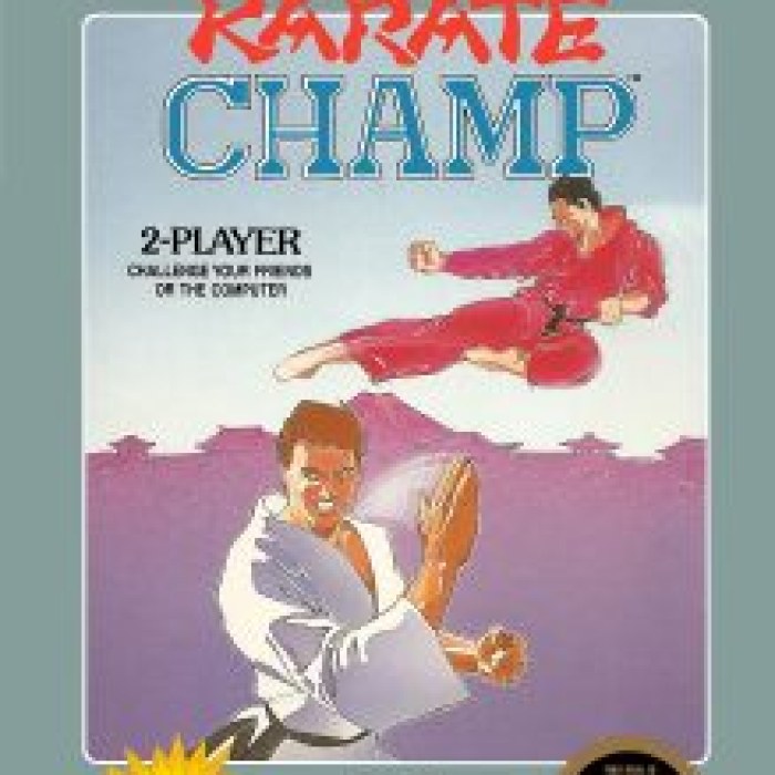 Karate Champ