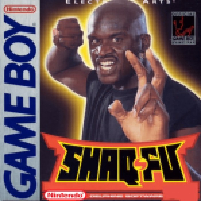 Shaq Fu
