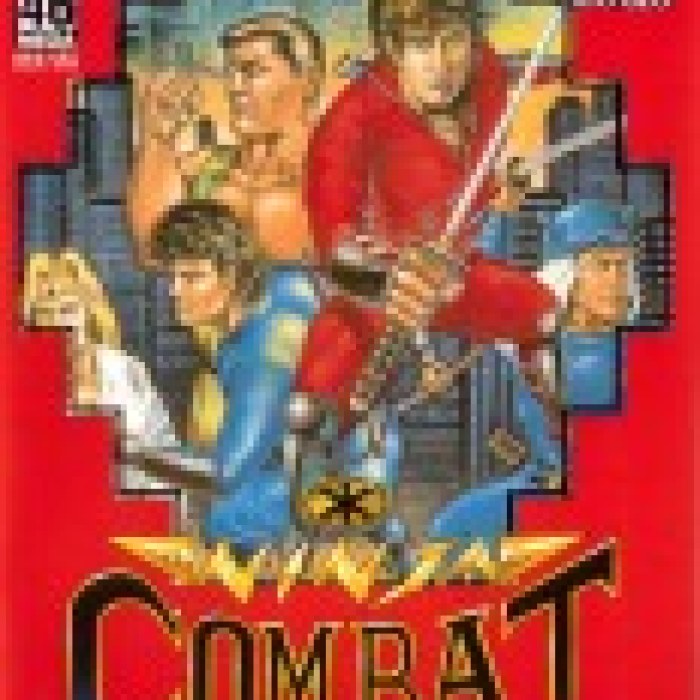 Ninja Combat